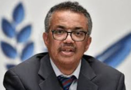 WHO Paksa Teroris Israel Hentikan Serangan ke Palestina