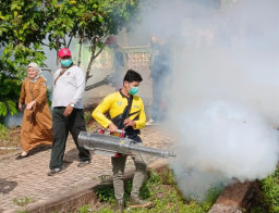 Dinkes Kotabaru Lakukan Fogging dan Penyuluhan
