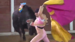 Diseruduk Banteng, Tengkorak Matador Rusak