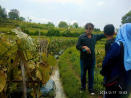 Petani Melon Milenial Cilegon, Dikunjungi Eks Aktris Senior Angling Darma