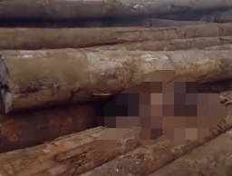 Pria Tua Ditemukan Tewas Tertindih Kayu