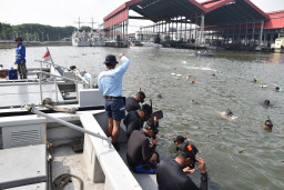 Tim Pancanaka Satpol PP Surabaya Ikuti Lomba Fin Swimming Sebrangi Dermaga Feri Madura