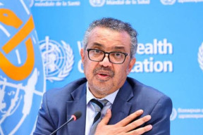 Rumah Sakit di Gaza Pakai Gerobak Keledai untuk Gantikan Ambulans