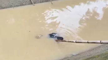 Pria Usia 19 Tahun Ditemukan Tewas Mengambang di Saluran Irigasi