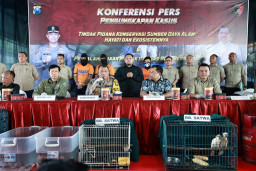 Polda Jatim Tangkap Pelaku Perdagangan Satwa Dilindungi