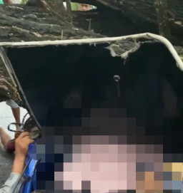 Pohon Roboh Timpa Bentor Berpenumpang 5 Orang, 1 Meninggal