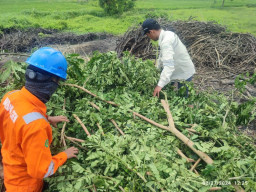 Kolaborasi PLN dengan Stakeholder Bahu Membahu Pastikan Masyarakat Madura Nyaman Beribadah