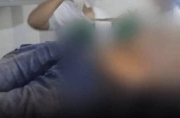 Diseruduk Banteng, Pria Ini Tewas dengan Kondisi Isi Perut Terburai Keluar