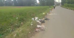 Sepanjang Jalan Menuju Pasar Mega Asri Kelurahan Sukajadi Timur, Sampah Berserakan 
