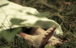 Mayat Berlumuran Darah Ditemukan di Semak-Semak Bawah Jalan Tol