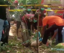 Mayat Wanita Telanjang Terbungkus Sprei Ditemukan di Kebun Jati