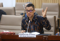 Komisi VI DPR RI Apresiasi Peningkatan Kinerja Keuangan PLN