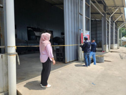 Gakum KLHK Buka Segel Pabrik Porang di Wungu Madiun