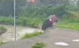 Ikuti Google Maps, Mobil Kecemplung Sungai