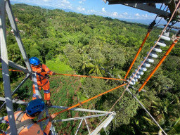 PLN UIT JBM Jaga Sistem Transmisi Andal dari Segala Lini