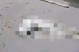 Warga Desa Barataku Digegerkan dengan Temuan Mayat Tanpa Identitas