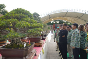 Hadiri Pameran Bonsai Besutan PPBI Kota Madiun, Maidi Beri Apresiasi