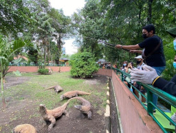 Di Hari Kedua Lebaran, 15 Ribu Wisatawan Kunjungi Kebun Binatang Surabaya