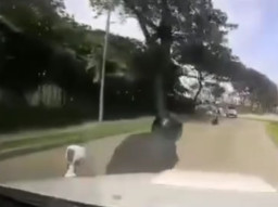 Bawa Lari Uang Baruan, Maling Nyungsep Ditabrak Polisi