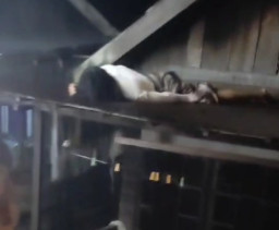 2 Motor vs 1 Mobil, 1 Tewas dan 1 Korban Terlempar ke Atas Atap Rumah