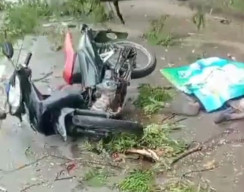 Berangkat Halal Bihalal, Dua Orang Berboncengan Tewas Tertimpa Pohon