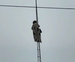 Diduga Depresi karena Ditipu Brondong, Wanita Usia 63 Tahun Lompat dari Menara Setinggi 30 Meter