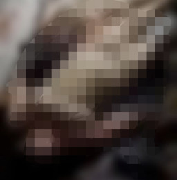 Video Sejoli Telanjang Bersimbah Darah Resahkan Warga Bangkalan Madura