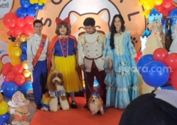 Segini Biaya Nena Indira di Pesta Anabul