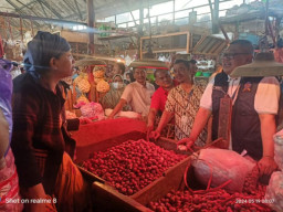 Tren Bawang Putih Naik, KPPU Intensifkan Pengawasan Realisasi Impor