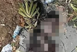 Pengemudi Ojek Temukan Mayat Pria Mengambang di Kali