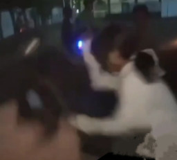 Viral, Segerombolan Remaja Putri Lakukan Bullying di Tegal