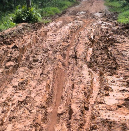 Memprihatinkan! Jalan di Dusun Setia Harapan, Desa Sungai Rengit Rusak Parah dan Tak Bisa Dilewati