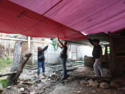 Tiga Lokasi Judi Sabung Ayam, Digerebek Polres Nganjuk