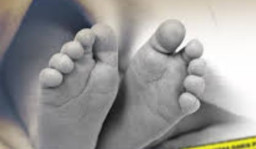 Jasad Bayi Baru Lahir Ditemukan Mengapung di Sungai