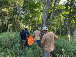 Polisi  Cepat Evakuasi Mayat Pria Gantung Diri di Pohon Dusun Krajan, Batu Kota