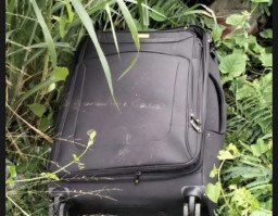 Pembunuh Wanita dalam Koper Berhasil Dibekuk