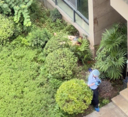 Usai Tembak Mati Istri, Suami Lompat dari Lantai 24 Apartemen