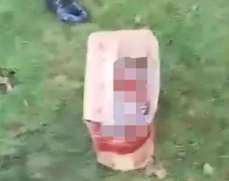 Bayi Dalam Kardus Mie Instan Digeletakkan Depan Gedung DPRD Muna