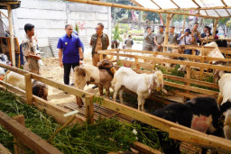 Pj. Wali Kota Batu Himbau Masyarakat Beli Hewan Kurban yang Sehat