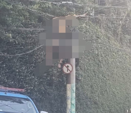 Hendak Curi Kabel, Maling Ini Malah Tewas Tergantung