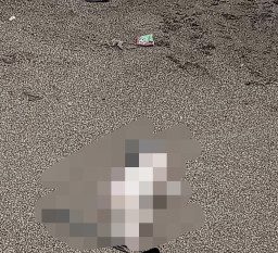 Bayi Laki-Laki Tak Bernyawa Terdampar di Tepi Pantai