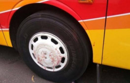 Dilindas Bus, Anak Usia 2 Tahun Meninggal di Tempat