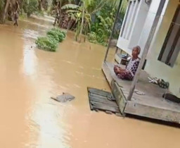 Desa Sampanahan Terendam Banjir, Camat Sampanahan Himbau Masyarakat Waspada