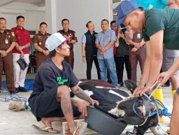 Kajari Batu: Momentum Idul Adha Bentuk Kepedulian Sosial pada Sesama