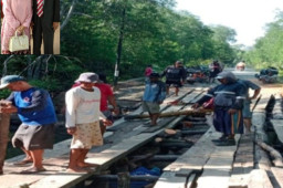 Haji Masiarah Amin Bersama Warga Perbaiki Jembatan Penghubung Antar Desa 