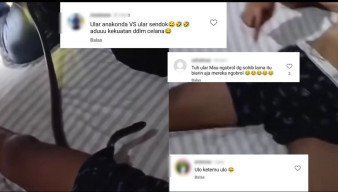 Viral! Ular Kobra Menyusup ke Celana Dalam Seorang Pria yang Sedang Tidur