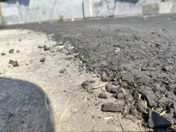 Kejanggalan Pengaspalan Jalan Desa di Jombang Diklaim dari Dana Pribadi Kades, Ternyata Ini Sumbernya