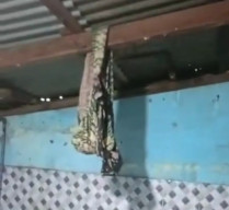 Dilarang Pergi oleh Suami, Istri Pilih Gantung Diri