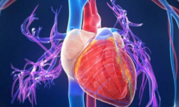 Diduga Serangan Jantung, Sopir Meninggal saat Bercinta dengan PSK