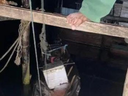 Asyik Mancing, Anggota BPD Diterkam Buaya